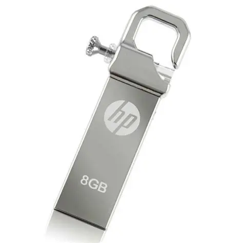 HP 8GB Flashdrive