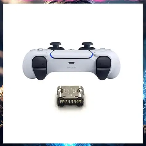 P5 Charging Port